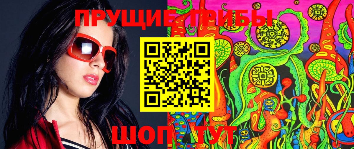 Галлюциногенные грибы Magic Shrooms  Вход с VPN  Галлюциногенные грибы Magic Shrooms  Гатчина 